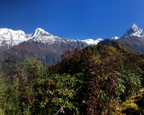 Mt Annapurna And Fishtail View