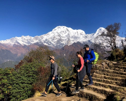 Trekking To Mardi Himal